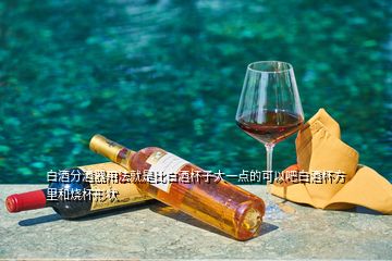 白酒分酒器用法就是比白酒杯子大一點(diǎn)的可以吧白酒杯方里和燒杯形狀