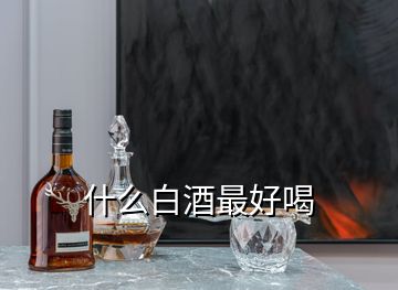 什么白酒最好喝