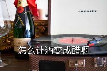 怎么讓酒變成醋啊