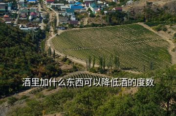 酒里加什么東西可以降低酒的度數(shù)