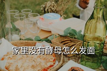 家里沒(méi)有酵母怎么發(fā)面