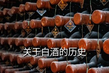 關(guān)于白酒的歷史