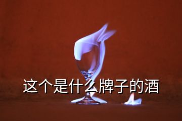 這個(gè)是什么牌子的酒