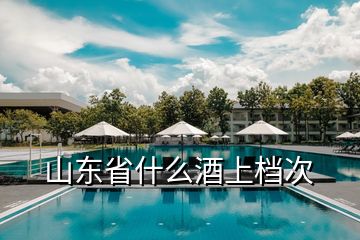 山東省什么酒上檔次