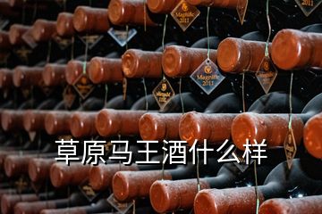 草原馬王酒什么樣