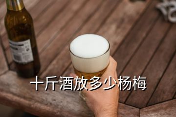 十斤酒放多少楊梅