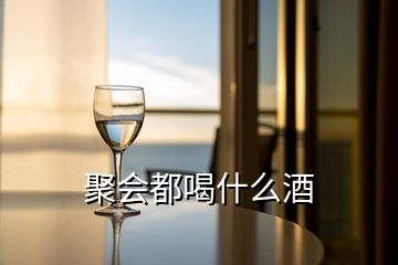 聚會都喝什么酒