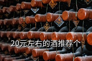 20元左右的酒推薦個(gè)