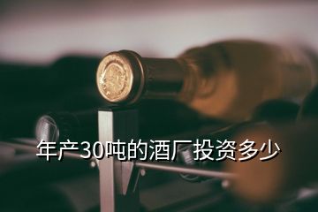 年產30噸的酒廠投資多少