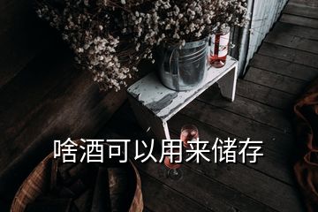 啥酒可以用來(lái)儲(chǔ)存