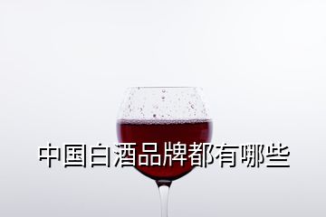 中國白酒品牌都有哪些