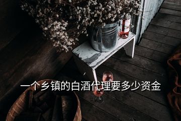 一個(gè)鄉(xiāng)鎮(zhèn)的白酒代理要多少資金