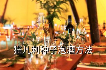 貓兒刺種子泡酒方法