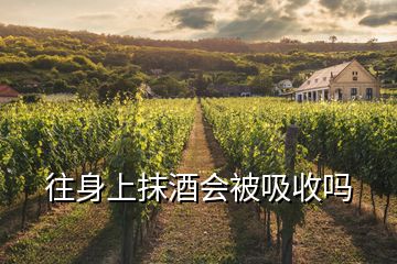 往身上抹酒會(huì)被吸收嗎