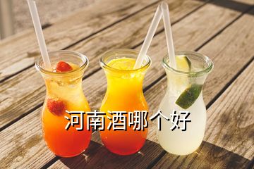 河南酒哪個好