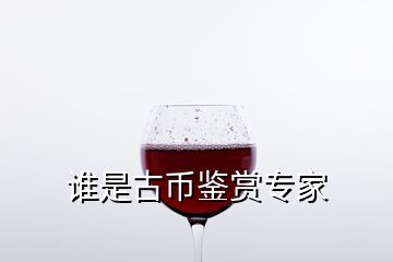 誰(shuí)是古幣鑒賞專家