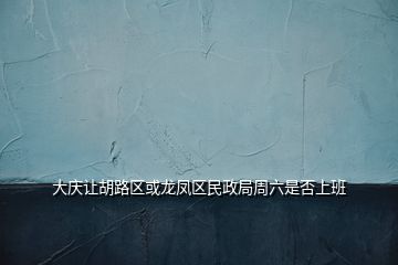 大慶讓胡路區(qū)或龍鳳區(qū)民政局周六是否上班