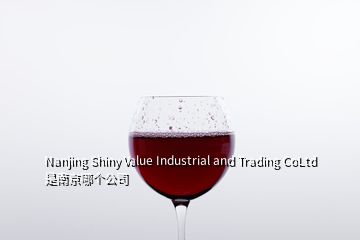 Nanjing Shiny Value Industrial and Trading CoLtd 是南京哪個公司