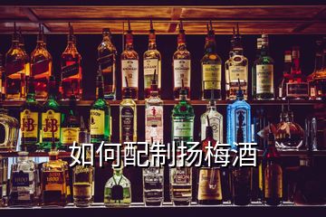 如何配制揚(yáng)梅酒