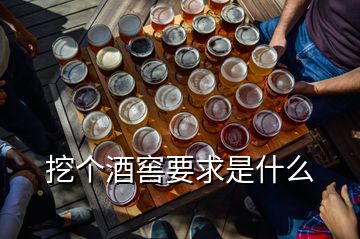 挖個酒窖要求是什么