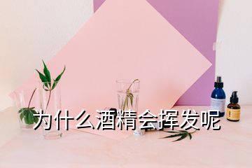 為什么酒精會揮發(fā)呢