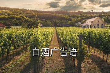 白酒廣告語