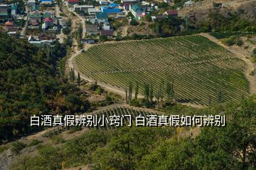 白酒真假辨別小竅門 白酒真假如何辨別