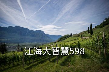 江海大智慧598