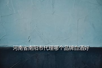 河南省南陽市代理哪個(gè)品牌白酒好