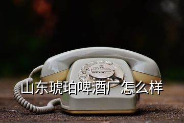 山東琥珀啤酒廠怎么樣