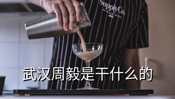 武漢周毅是干什么的