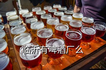 臨沂有啤酒廠么