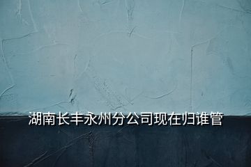 湖南長豐永州分公司現在歸誰管