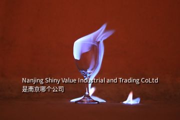 Nanjing Shiny Value Industrial and Trading CoLtd 是南京哪個公司