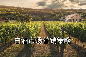 白酒市場(chǎng)營銷策略