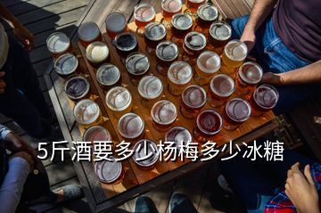 5斤酒要多少楊梅多少冰糖