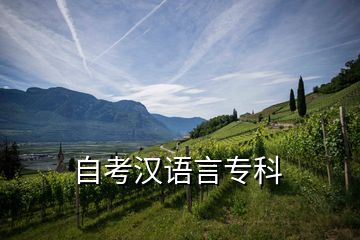 自考漢語(yǔ)言專(zhuān)科