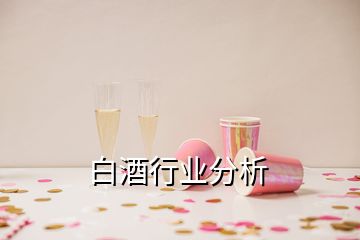 白酒行業(yè)分析