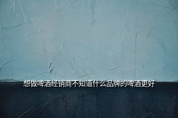 想做啤酒經(jīng)銷商不知道什么品牌的啤酒更好