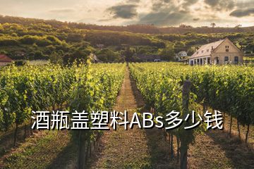 酒瓶蓋塑料ABs多少錢