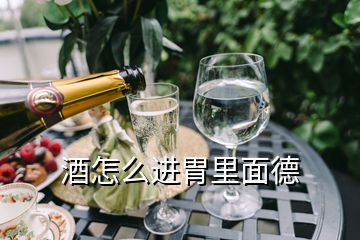 酒怎么進(jìn)胃里面德