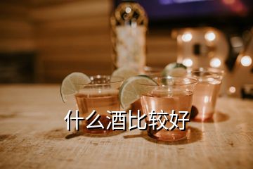 什么酒比較好