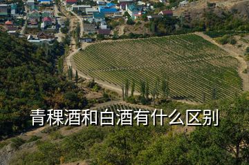 青稞酒和白酒有什么區(qū)別