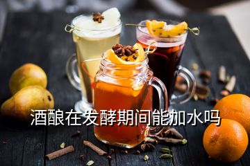 酒釀在發(fā)酵期間能加水嗎