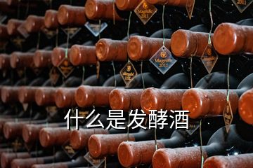 什么是發(fā)酵酒