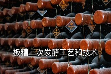 板糟二次發(fā)酵工藝和技術