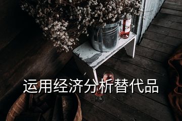 運用經(jīng)濟分析替代品