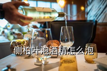 側(cè)柏葉泡酒精怎么泡