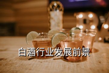 白酒行業(yè)發(fā)展前景