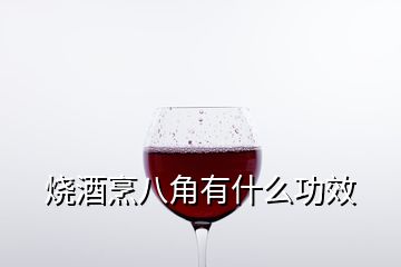 燒酒烹八角有什么功效